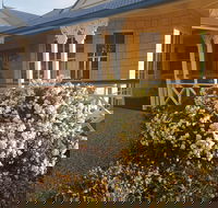 Grovely House Bed  Breakfast - Hotel Accommodation