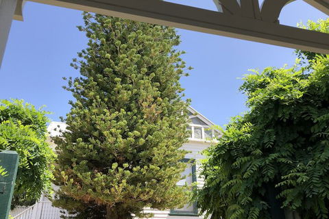 Kananook Heritage House - Hotel Accommodation 2