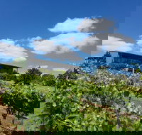 Traralgon Vineyard - Hotel Accommodation