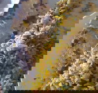 Horsham Masala Indian Restaurant - Hotel Accommodation