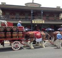 Terminus Hotel - Hotel Accommodation