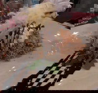 Marrakech Restaurant - Hotel Accommodation