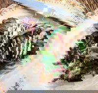 Frank and Connie's Kitchen - Hotel Accommodation