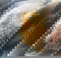 Noodle Dynasty - Hotel Accommodation