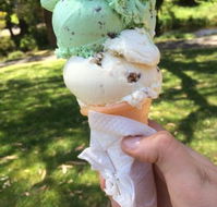 The Rainbow Ice Cream Shop - Hotel Accommodation