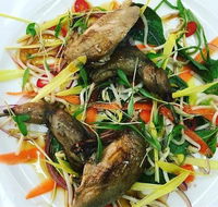 Tuileries Restaurant - Hotel Accommodation