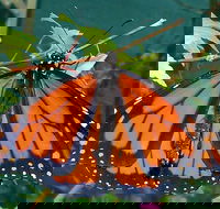 Skydancers Garden Gift  Cafe - Hotel Accommodation