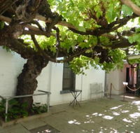 The Vine - Hotel Accommodation