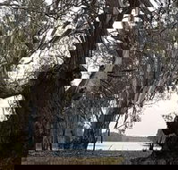 The Forest Door - Hotel Accommodation