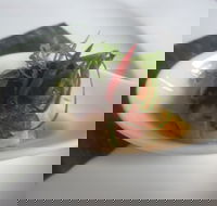 Banana Palm - Hotel Accommodation