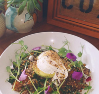 The Shak Organic Cafe  Wine Bar - Hotel Accommodation