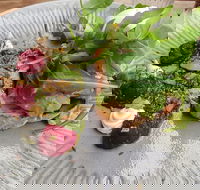 Corner Store Cafe - Hotel Accommodation