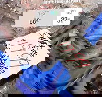 Samjon Seafood - Hotel Accommodation