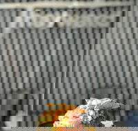 Ruins on Hayward - Hotel Accommodation