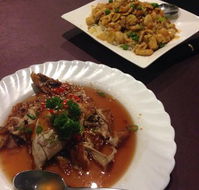 Royal Garden Wagga - Hotel Accommodation