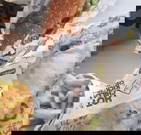 Oporto - Hotel Accommodation