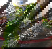 The Red Barrel Wine House - Hotel Accommodation