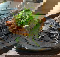 22 Grams Espresso - Hotel Accommodation