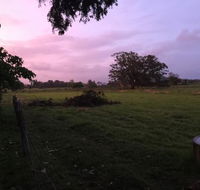 Charcoal Chicken - Hotel Accommodation