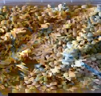 Addil Indian  Kebab Restaurant - Hotel Accommodation