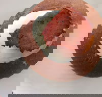 Bounty - Hotel Accommodation