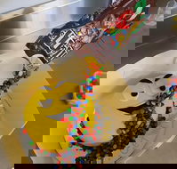 Cox's Bakery - Hotel Accommodation