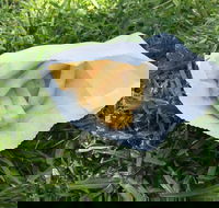 KFC - Hotel Accommodation