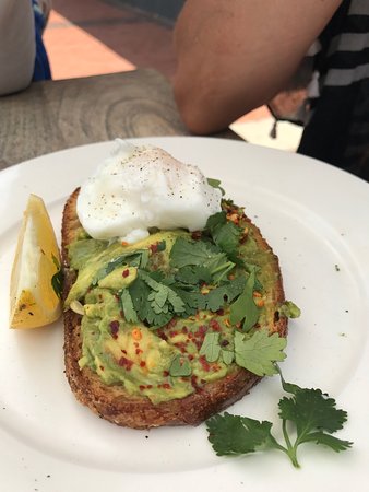 Avoca Beach NSW Hotel Accommodation