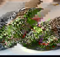 Santos Organics Mullumbimby - Hotel Accommodation