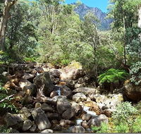 Star Chinese Restaurant - Hotel Accommodation