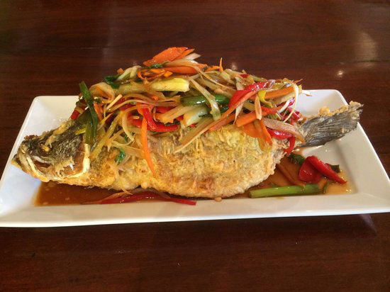 Denman NSW Hotel Accommodation