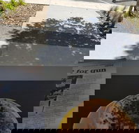 Queen of Tarts Toronto  Cessnock - Hotel Accommodation