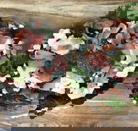 Riverside Co - Hotel Accommodation