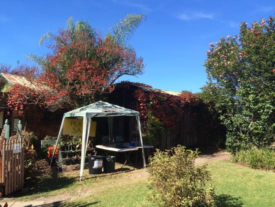 Bilpin NSW Hotel Accommodation