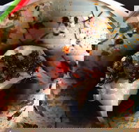 29 Nine 99 - Hotel Accommodation