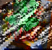 Ducks Nuts - Hotel Accommodation