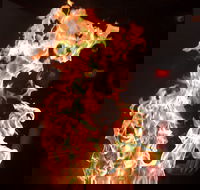 Shin Sen Teppanyaki Restaurant - Hotel Accommodation