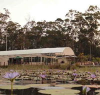 Abundance Cafe and Garden Centre - Hotel Accommodation