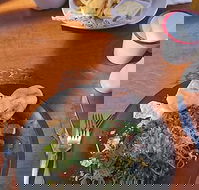 Painted Horse Cafe - Hotel Accommodation