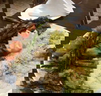 Yummy Yalla Restaurant - Hotel Accommodation