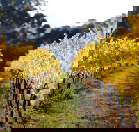 Prickly Moses Brewery - Hotel Accommodation