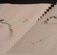 Soul Origin - Hotel Accommodation