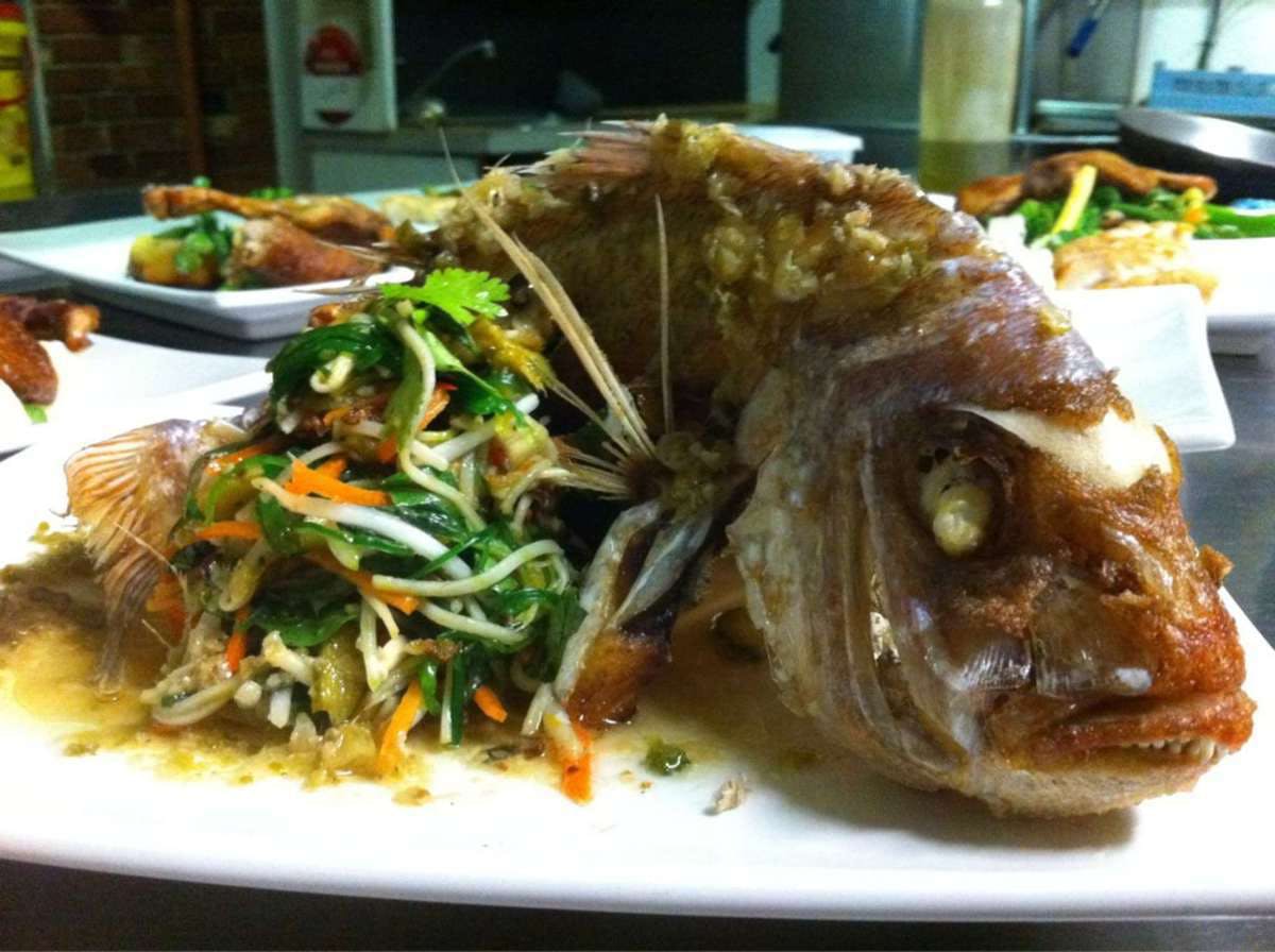 Loy Yang VIC Hotel Accommodation