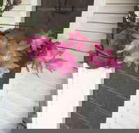 Tingha Sports  Recreation Club - Hotel Accommodation