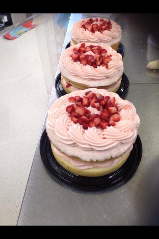 White Patch QLD Hotel Accommodation