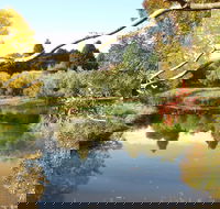 Cradle Coast Olives - Hotel Accommodation