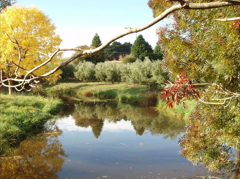 Cradle Coast Olives - Hotel Accommodation 0