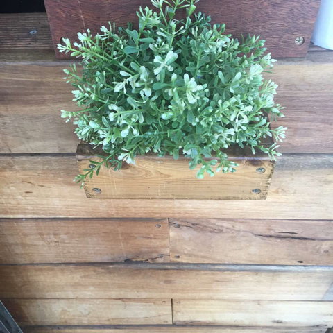 Double Mac - Hotel Accommodation 0