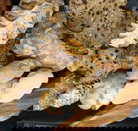 Iluka Bakery - Hotel Accommodation