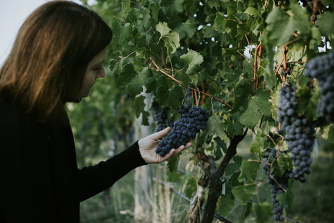 Rowlee Vine To Table Experience - Hotel Accommodation 0